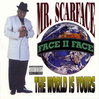 Mr Scarface: Part III The Final Chapter - Scarface