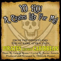 Yo Ho, Yo Ho! A Pirate's Life For Me (Theme song From 'Pirates Of The Caribbean') - Dominik Hauser