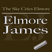 I Can't Stop Loving You - Elmore James