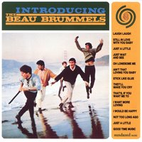 Still In Love With You Baby - The Beau Brummels