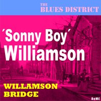 My Black Name Blues - John Lee "Sonny Boy" Williamson