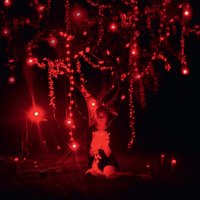 The Fallen - Sophie Hunger